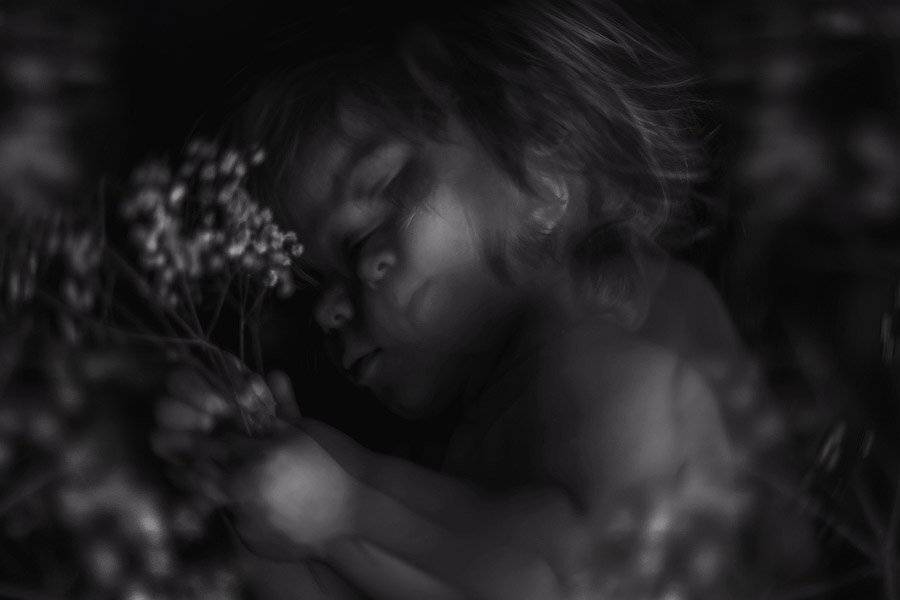 Dream. Автор: Ольга Свистунова , Ольга Свистунова