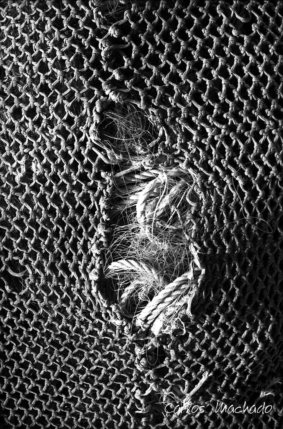 macro, other, still life, Carlos Machado