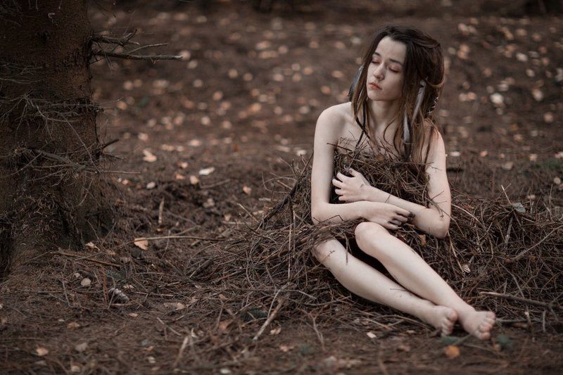 Лесная обитель фото превью