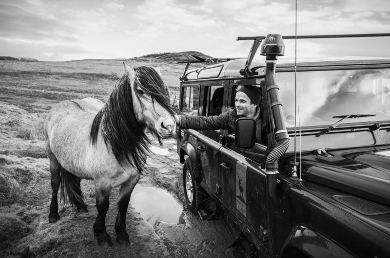 Интересная встреча фото превью