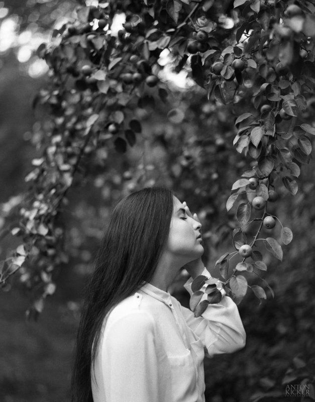 6x7, medium format, film Tina фото превью