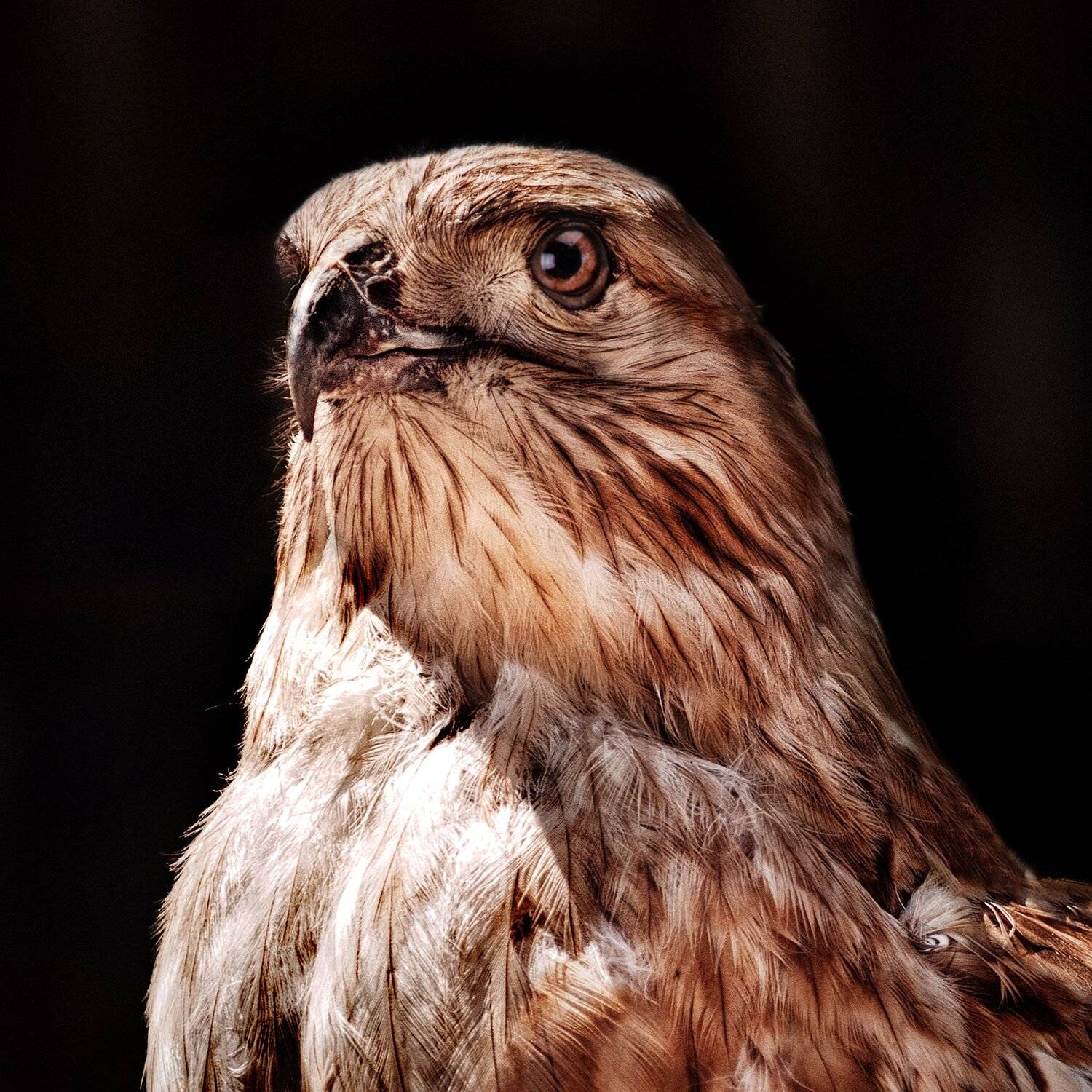 , Олег Богданов