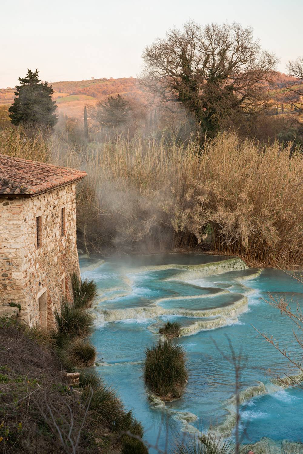 , Максимова Дария