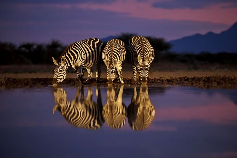 Африканские мотивы фото превью