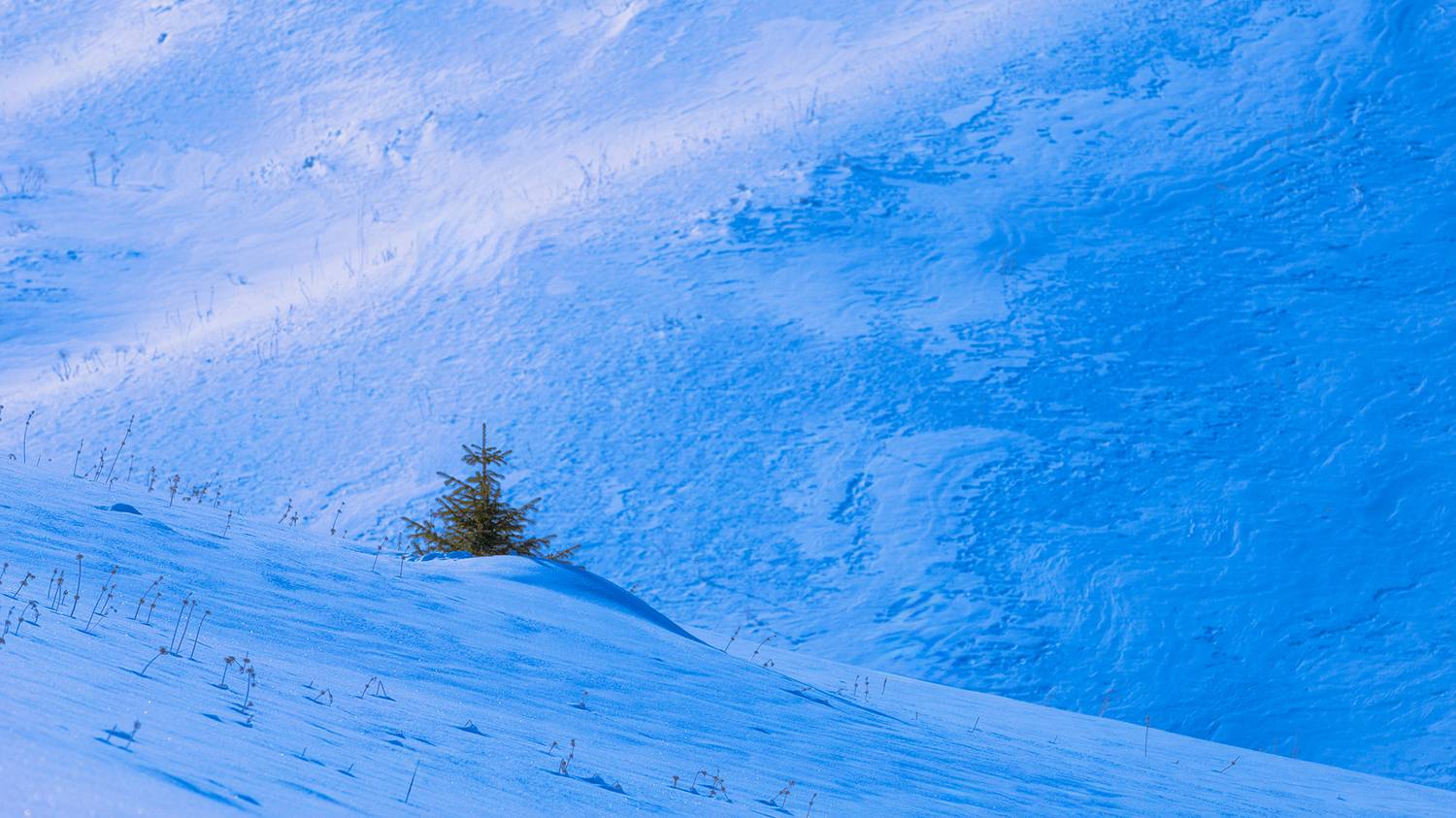 кыргызстан, урочище чункурчак, Элина Магалимова