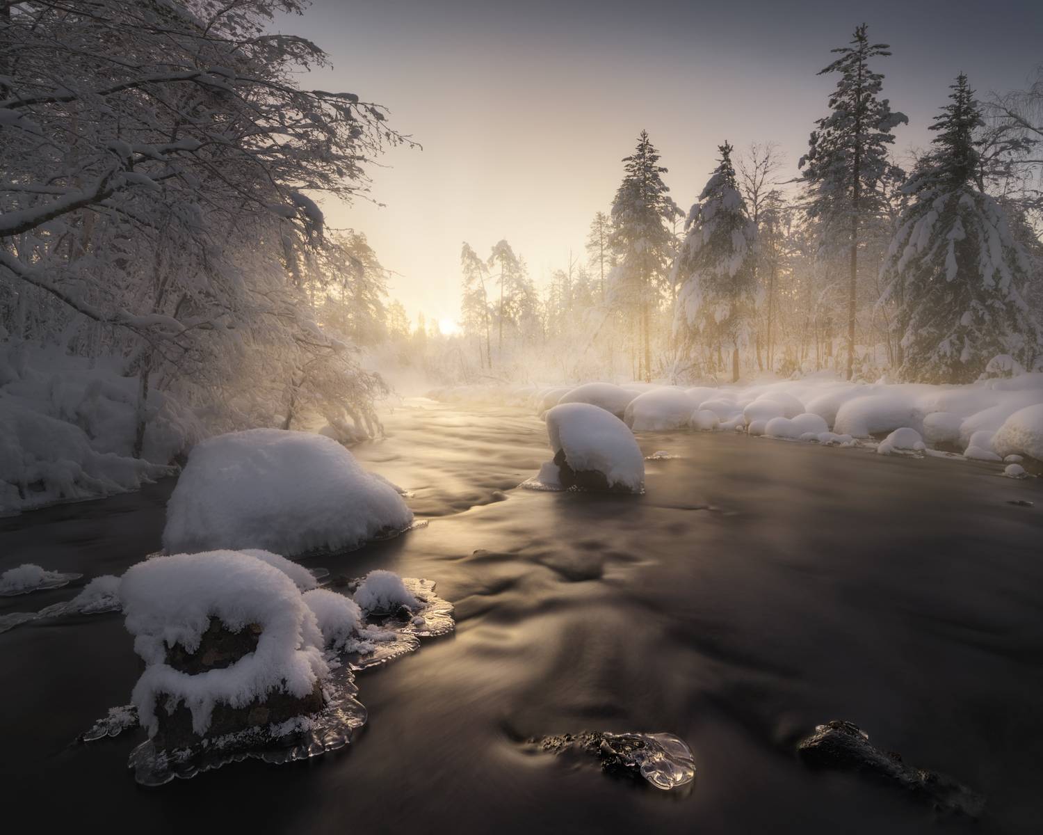 , Медянцев Дмитрий