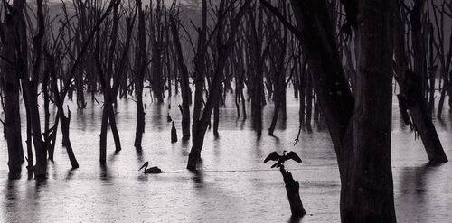 Кратеры дождя