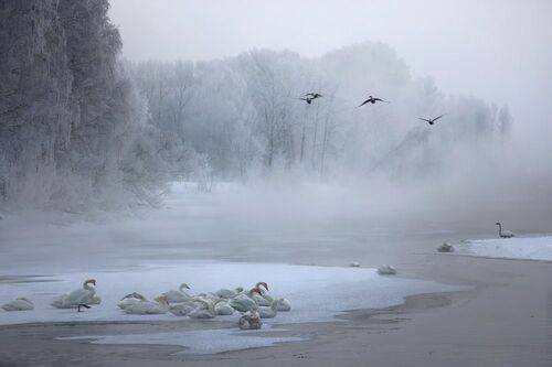 Утренний монохром