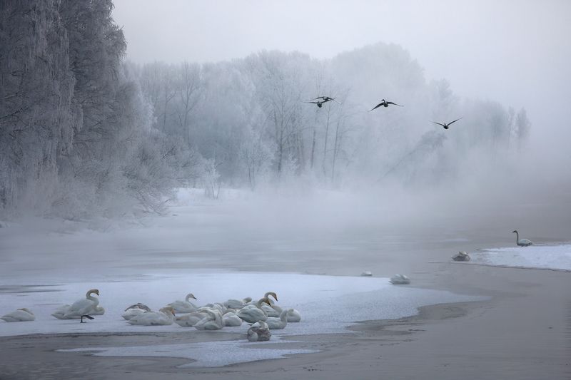 Утренний монохром фото превью
