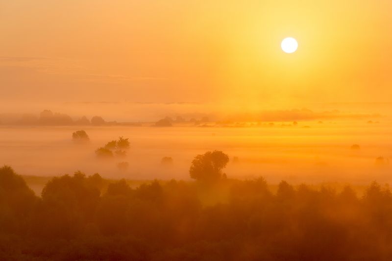 Красный туман фото превью
