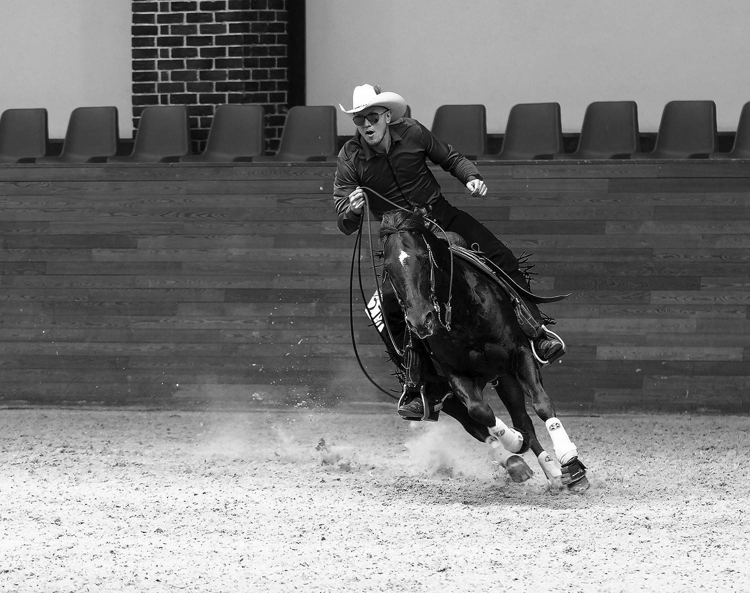 спорт, вестерн, соревнования, horse, sport, movement, competition, Стукалова Юлия