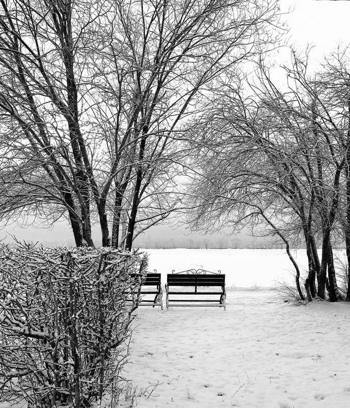 пейзаж, зима, город, снег, скамейки Зимняя графика фото превью