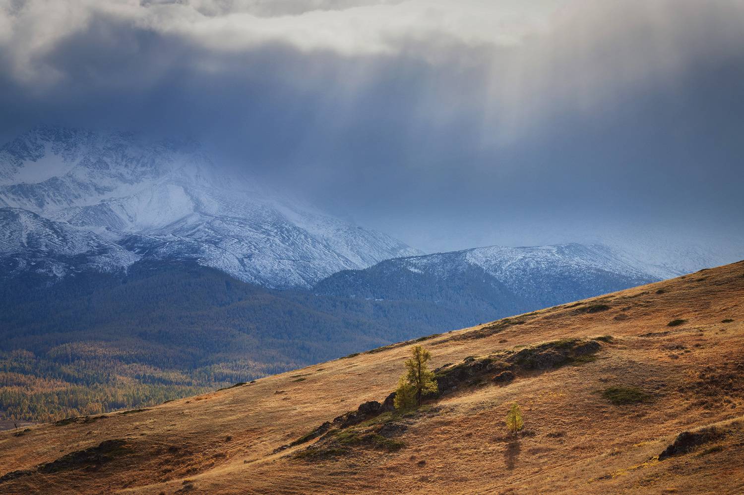 , Морозов Сергей