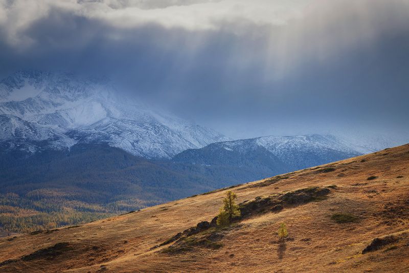 Горный Алтай фото превью