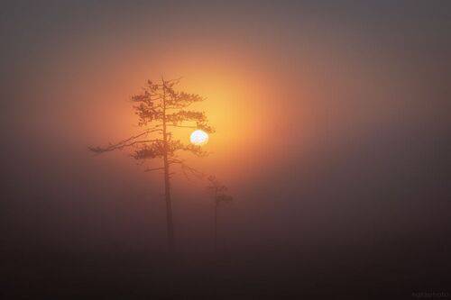 Встречание