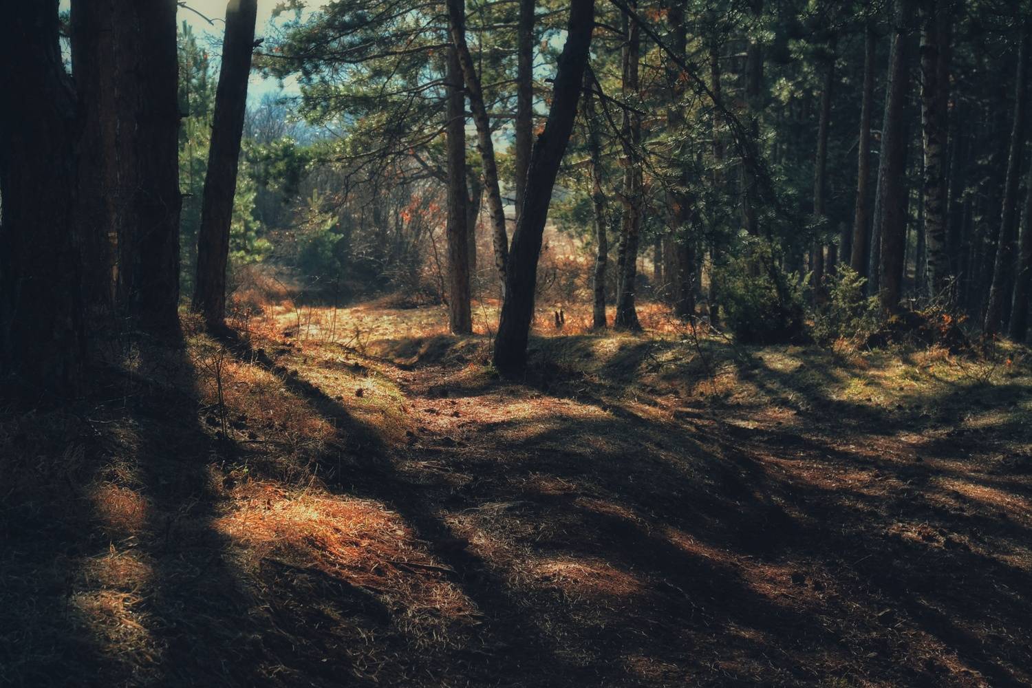 , Юлияна Стоянова