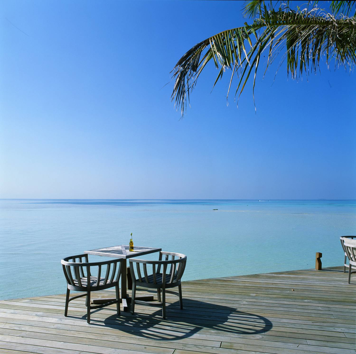 bronica sq-a, bronica, sq-a, zenzabronica, film, плёнка, medium format, m-format, middle, 120 film, 6x6, 120mm, средний формат, Fujifilm, Fujichrome, Velvia, Velvia 50, Fujichrome Velvia 50, Fujifilm Velvia 50, Fuji Velvia 50, Fujifilm Fujichrome Velvia 5, Попов Алексей