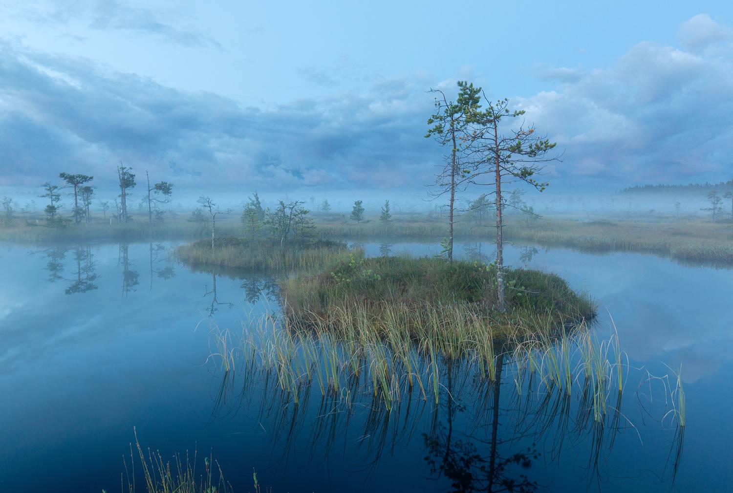 болото, карелия, туман, утро, рассвет, фототур, Павел Ващенков