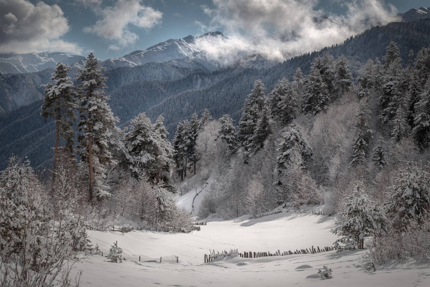 svaneti, ughviri, mountains, winter, nature, trees, nature, high, landscape, scenery, travel, outdoors, georgia, sakartvelo, caucasus, chizh, Чиж Андрей