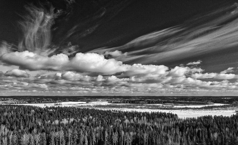 Весна. фото превью