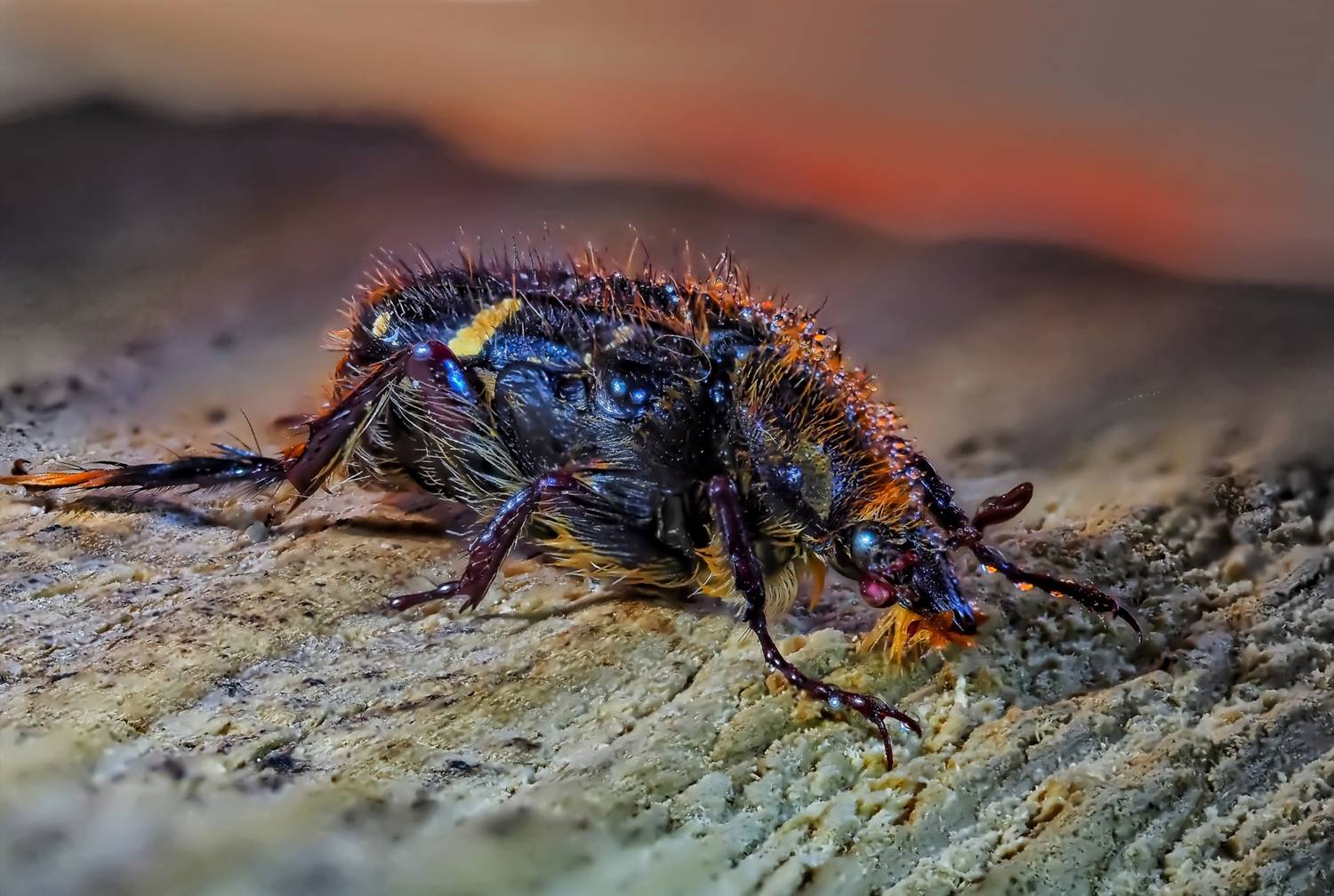 , Савчук Анатолий