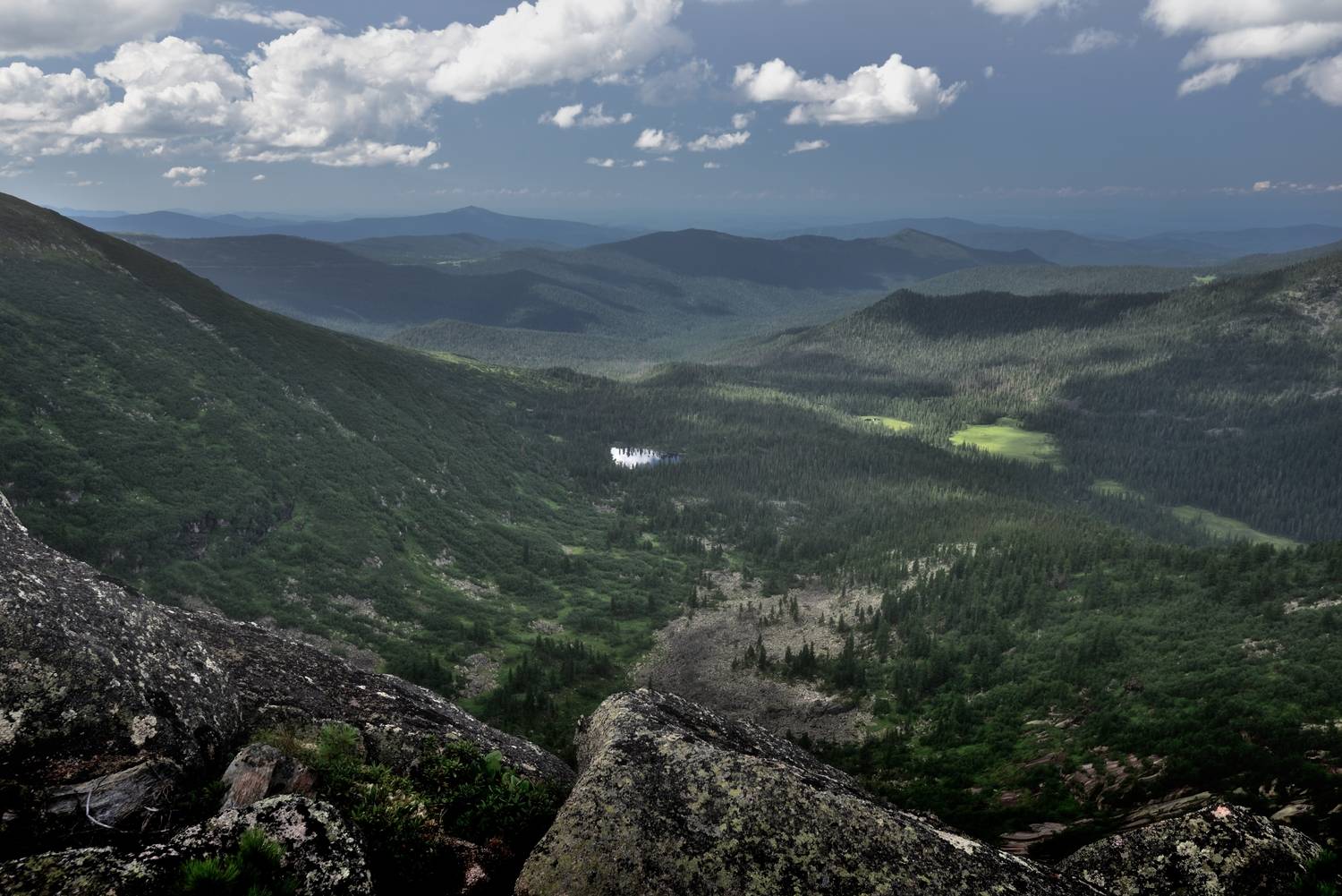 , Алексей Никонов