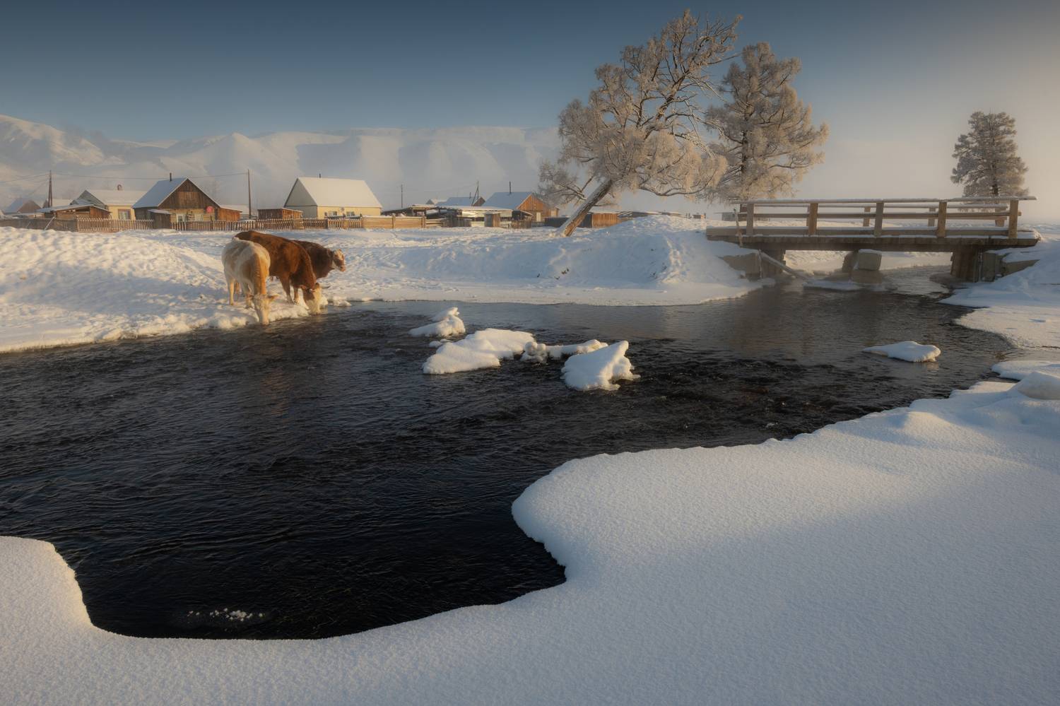 , Абрамов Денис