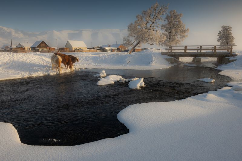Обычный день в селе Курай фото превью