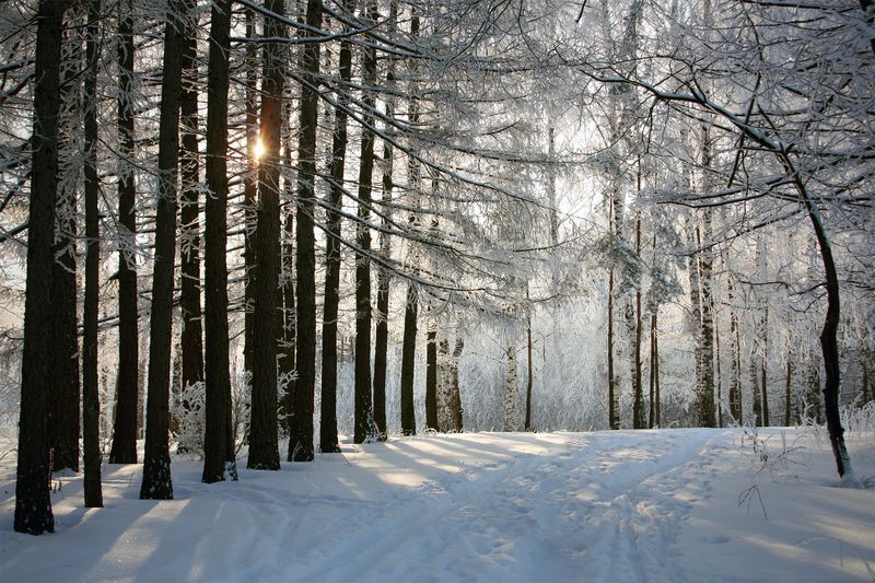 Рождество фото превью