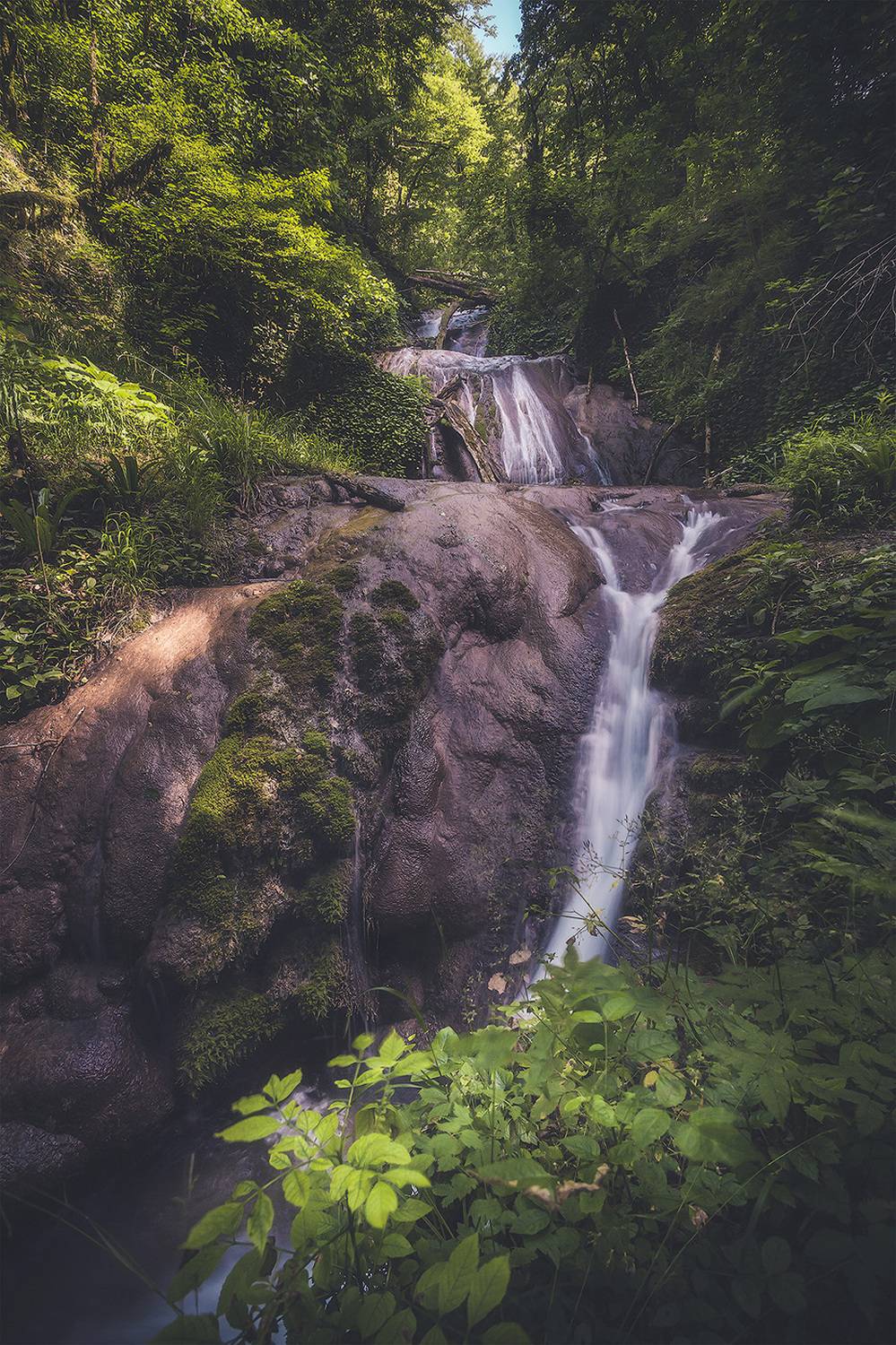 , Аседач Александр