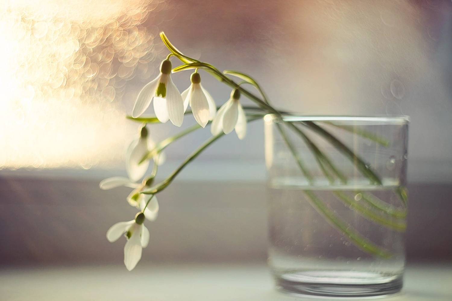 , Наталья Ова