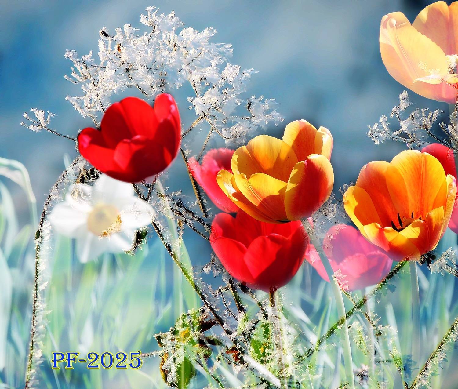 , Савоцкий Роман