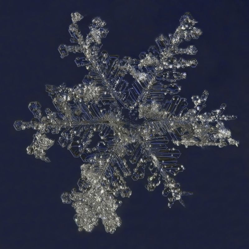 Снежинка в сильную метель1 фото превью