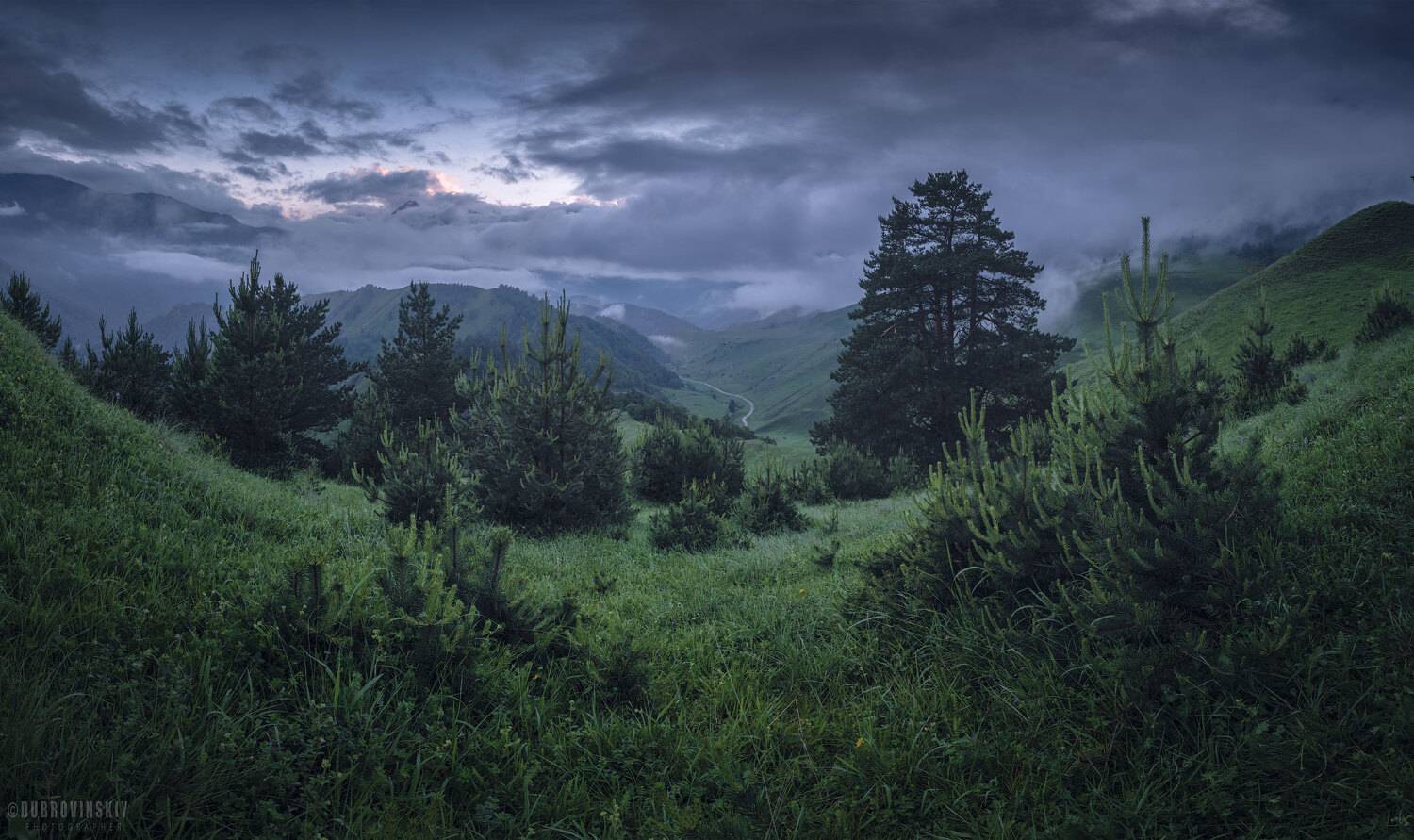 ингушетия, эрзи, сосны, тучи, кавказ, Дубровинский Михаил