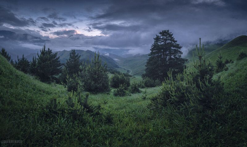 ингушетия, эрзи, сосны, тучи, кавказ Эрзи фото превью