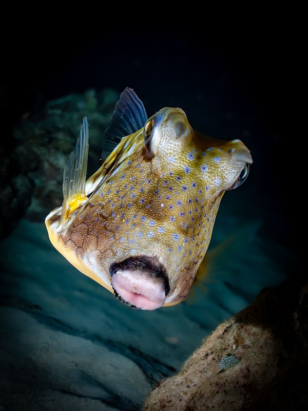 Крутое пике фото превью