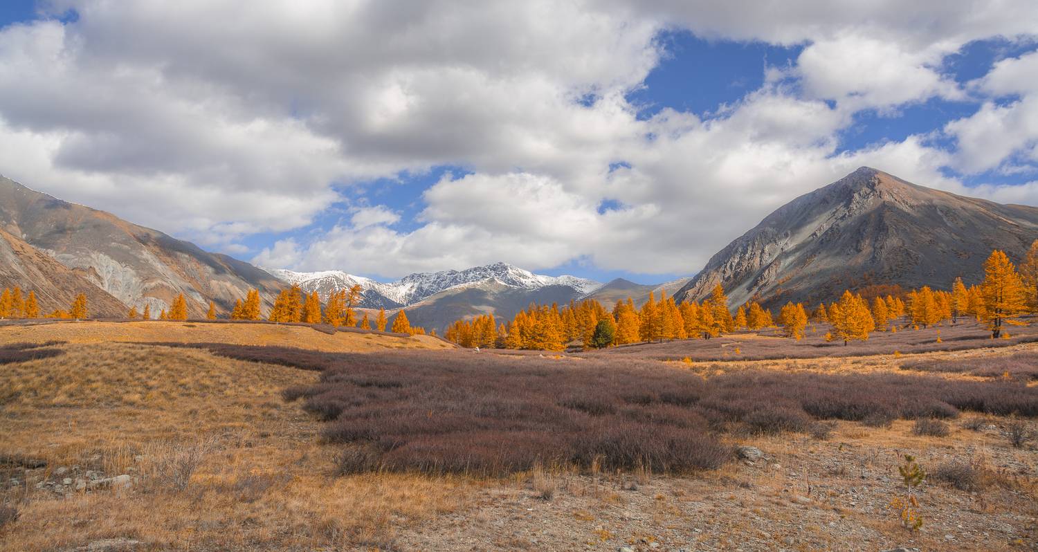 россия, горный алтай,осень, Поляков Андрей