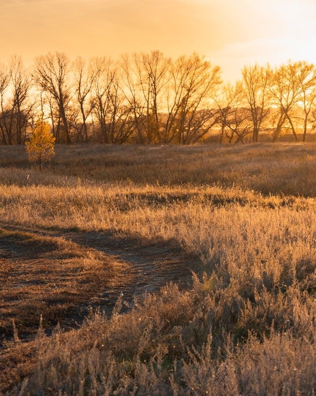 Тобольский закат фото превью