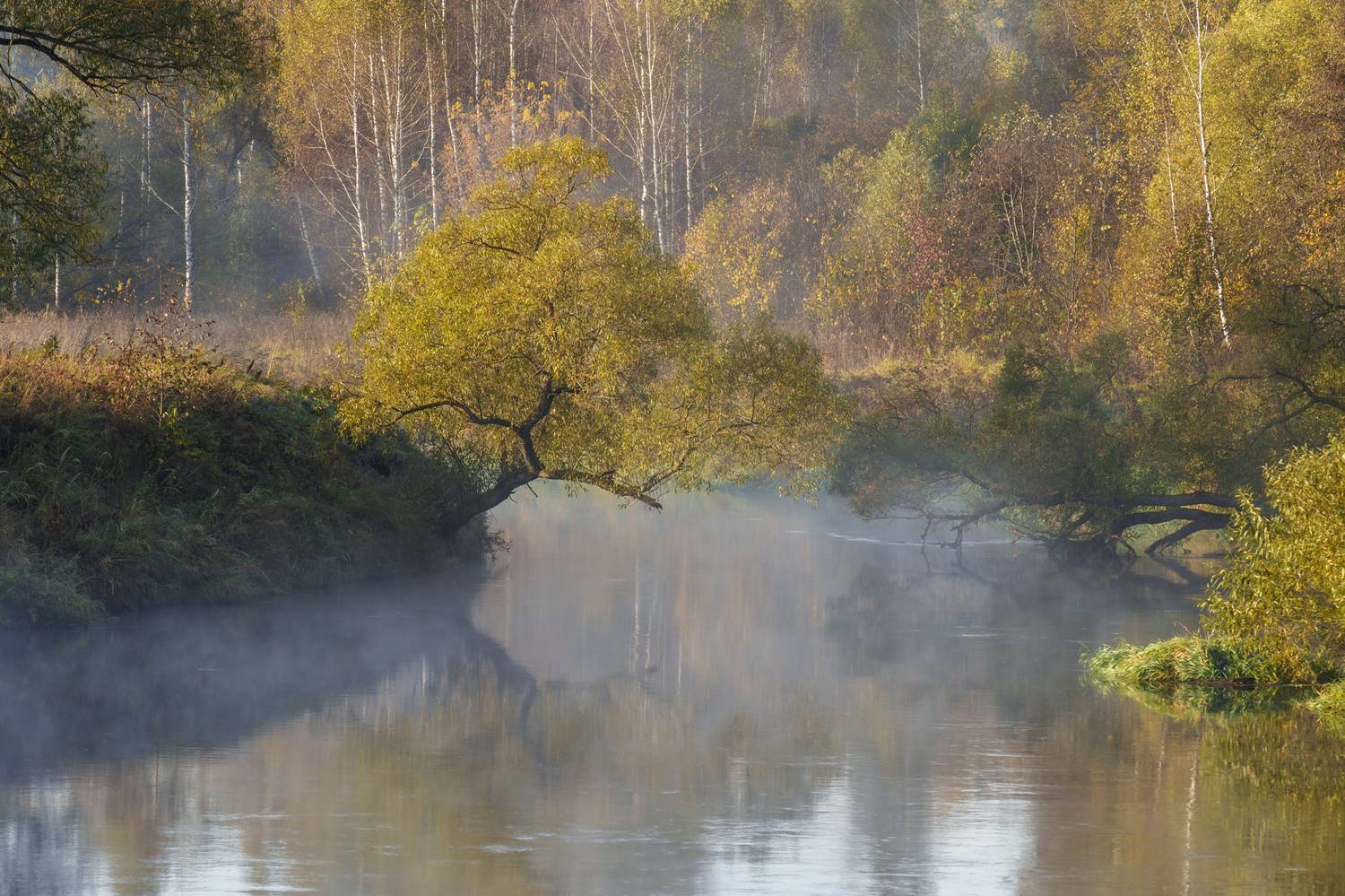 , Добродий Михаил