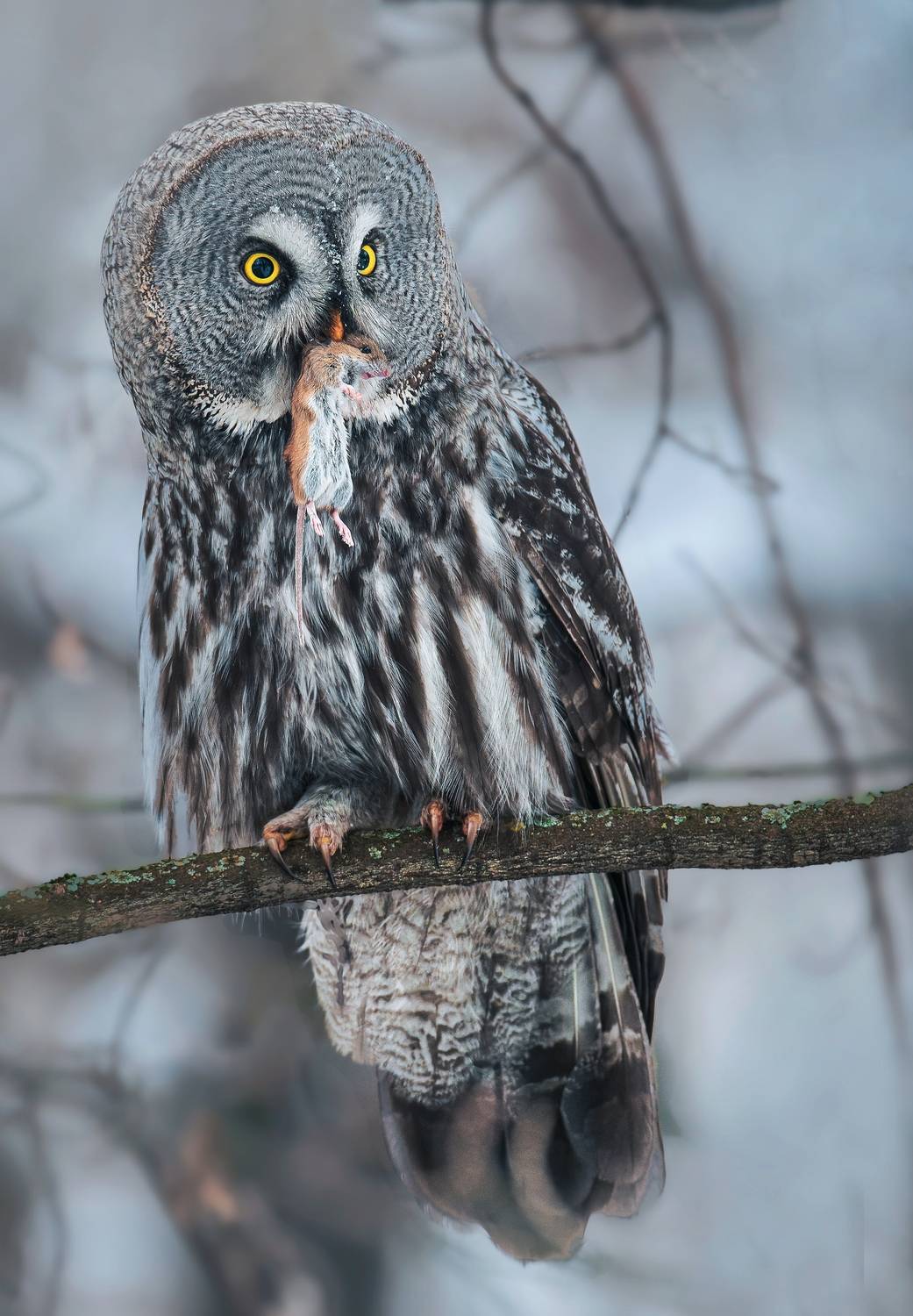 , Фото Александр