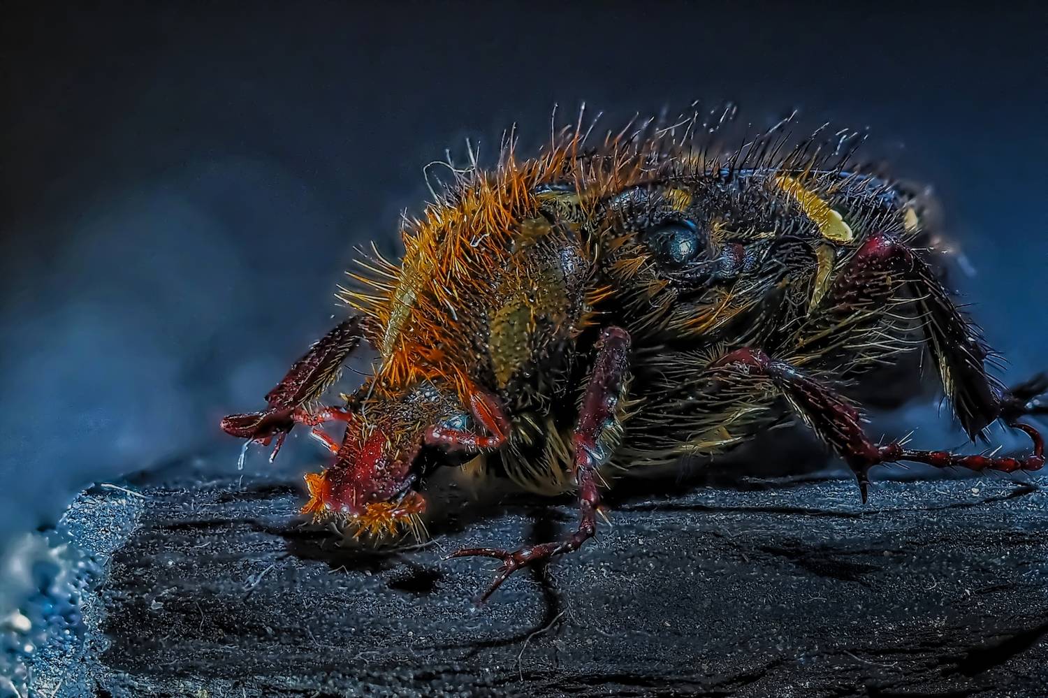 Бронзовка, Савчук Анатолий