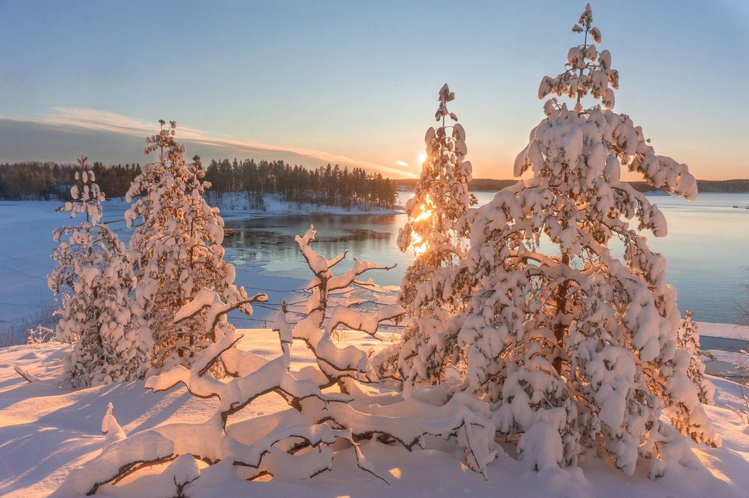 , Петр Косых