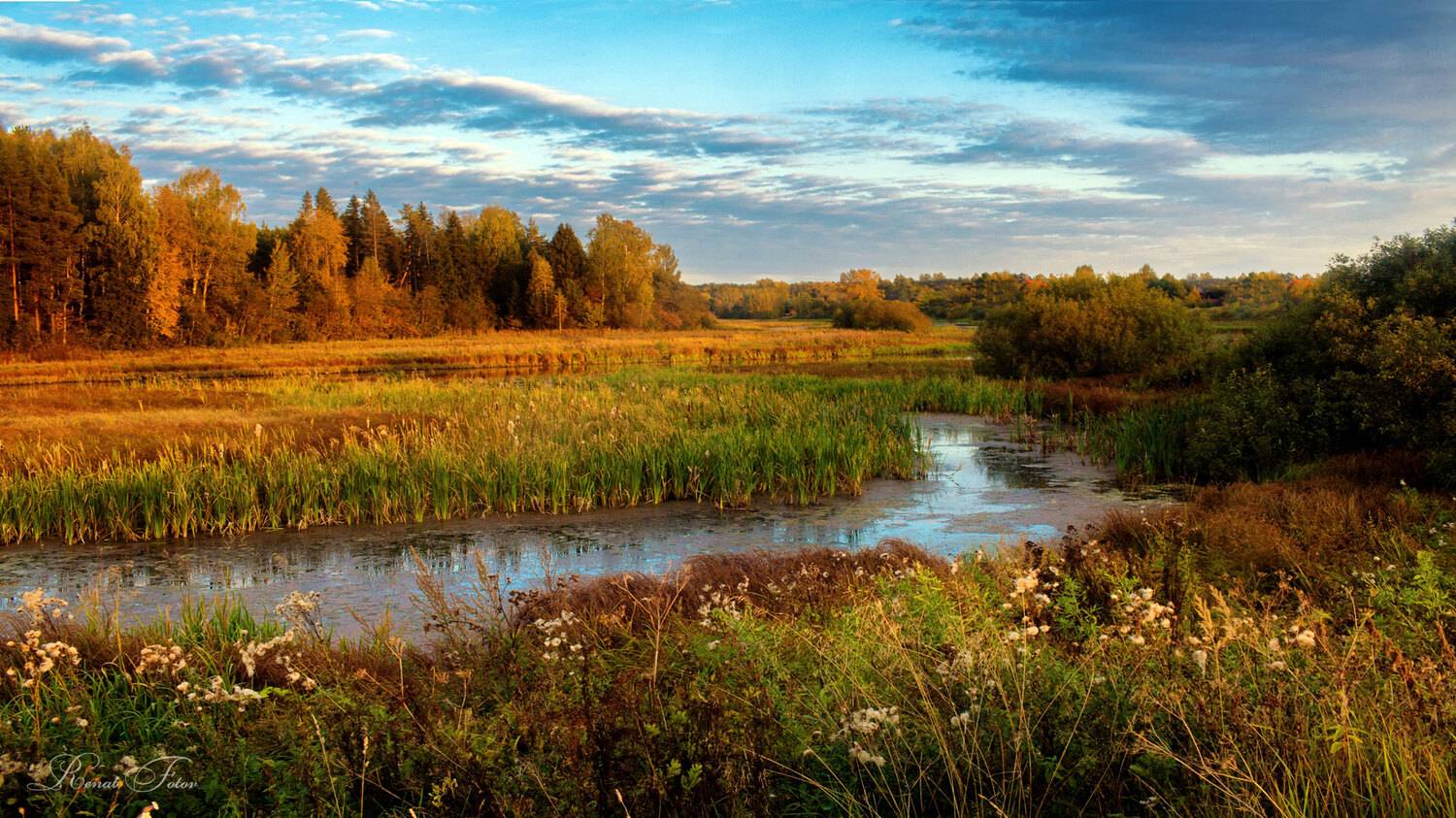 , Фотов Ренат