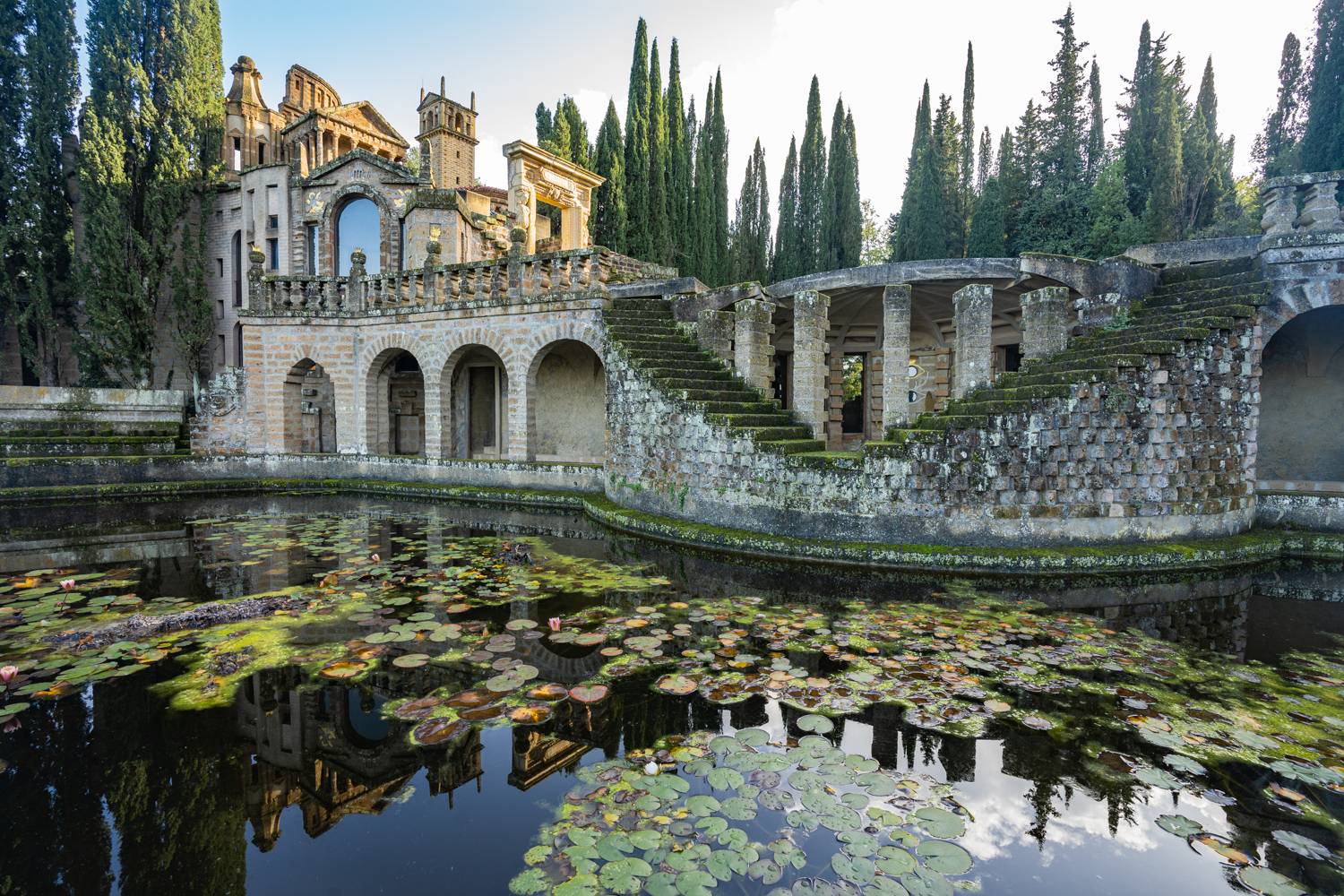 , Максимова Дария