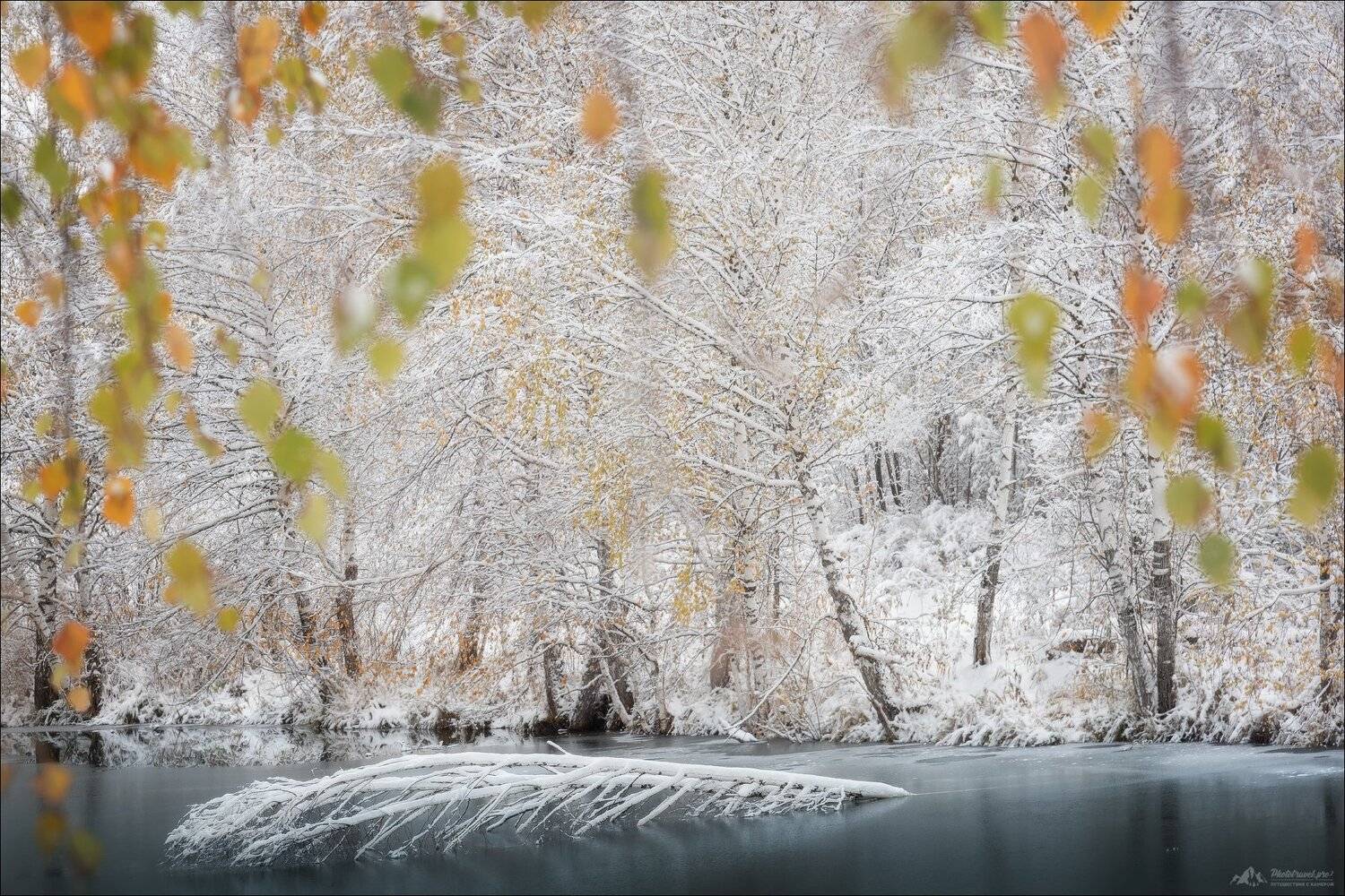 алтай, алтайский край, природа алтайского края, фотографии алтая, алтай фото, фототур на алтай, фототуры 2025, осенний фототур на алтай, фототуры по россии, phototravel.pro, Влад Соколовский