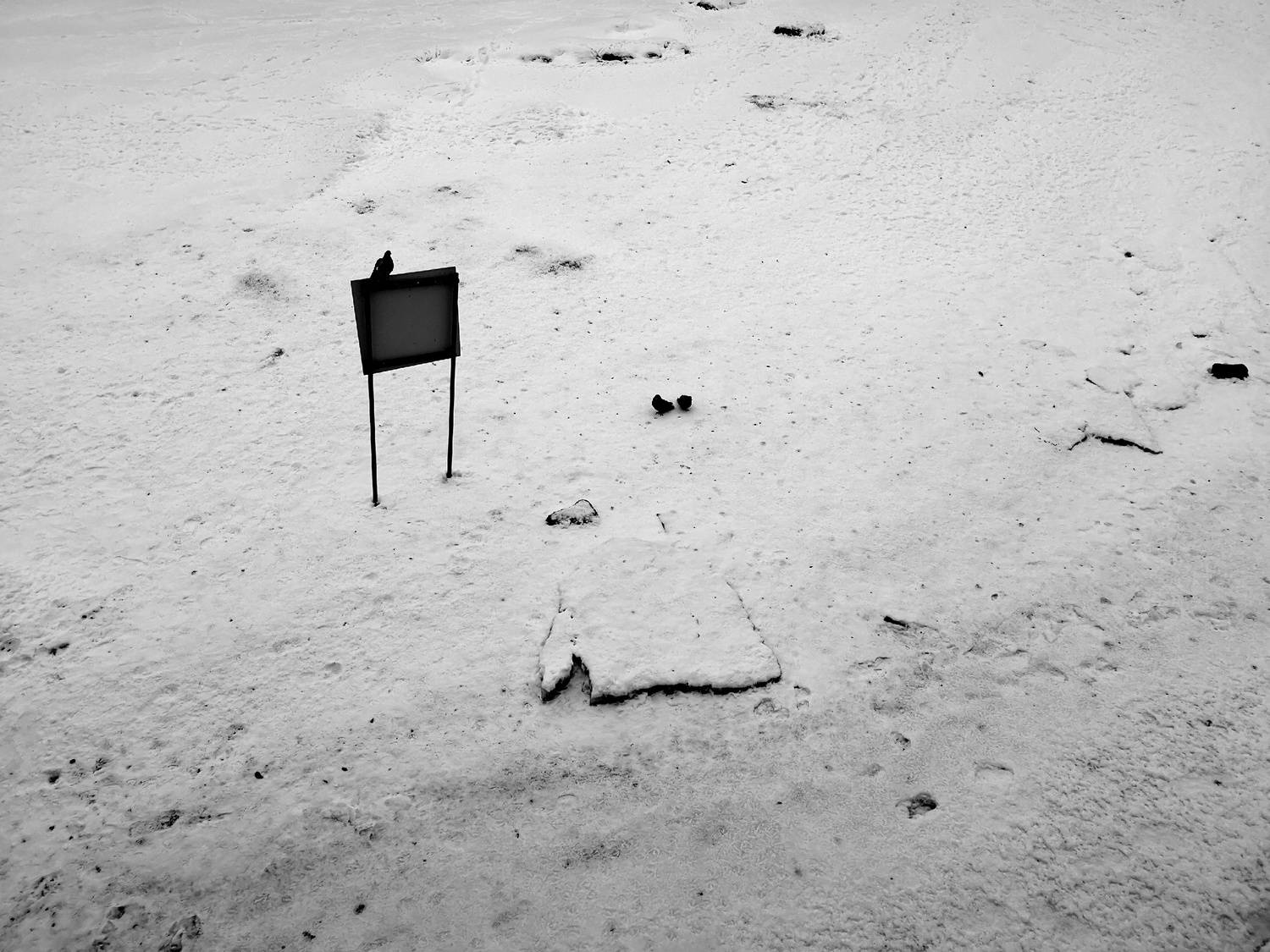 , Антон Лаба