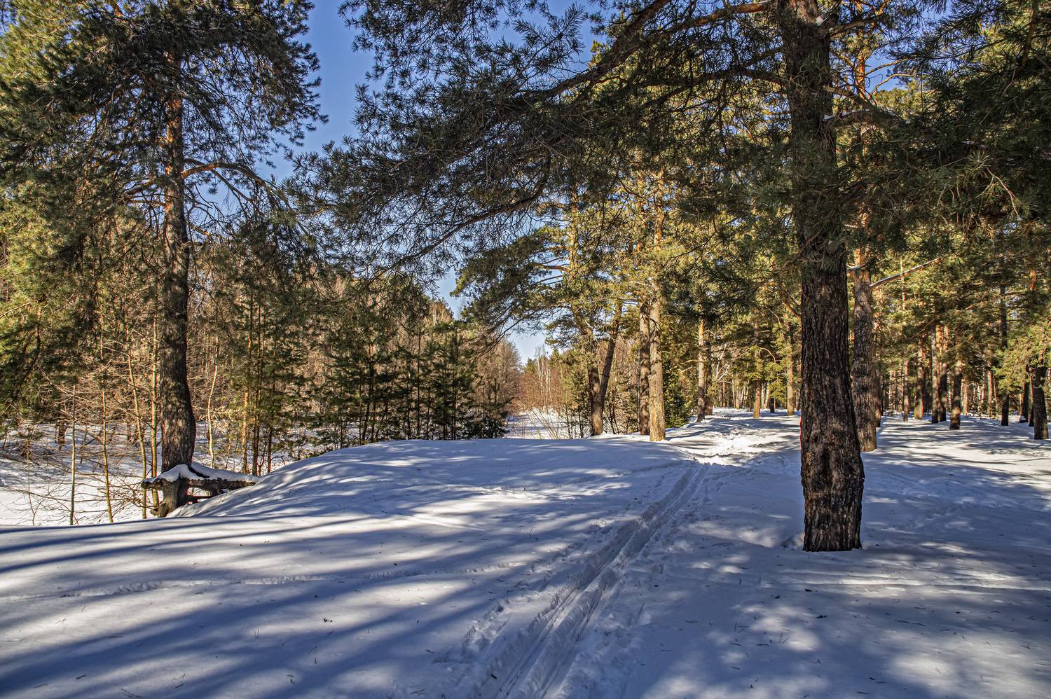 , Шитов Александр