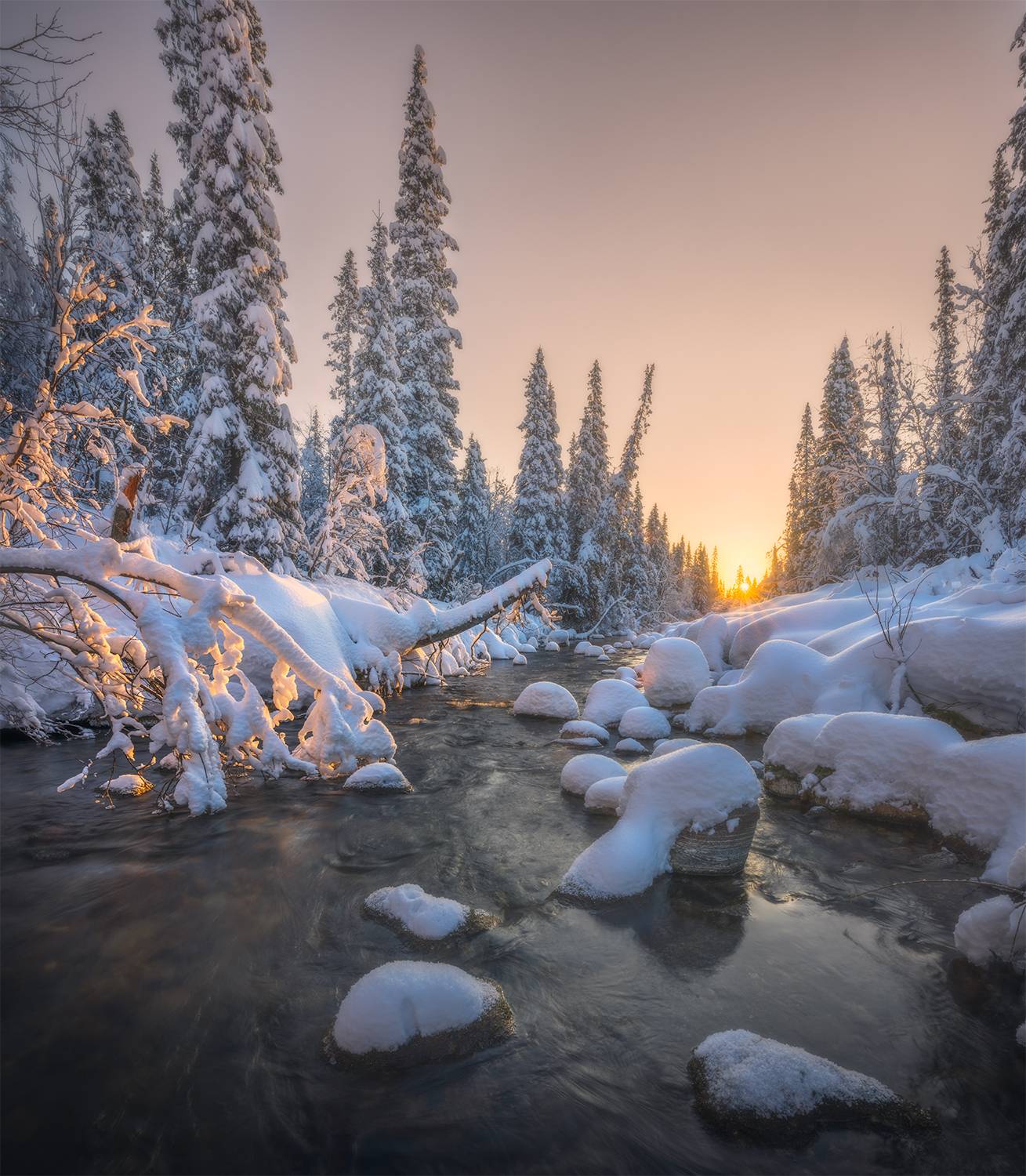 кольский, река, свет, солнце, снег, зима, Сергей Буторин