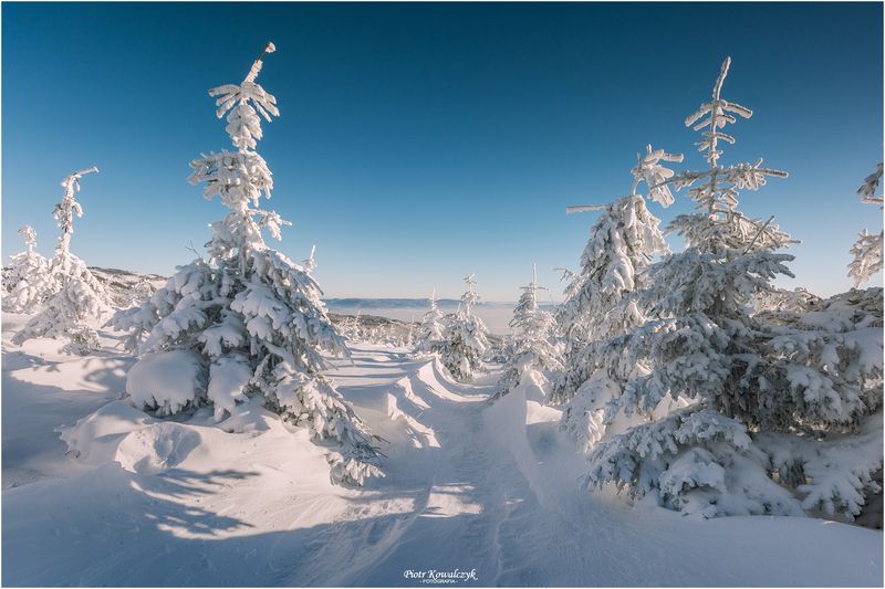 polska, zima *** фото превью