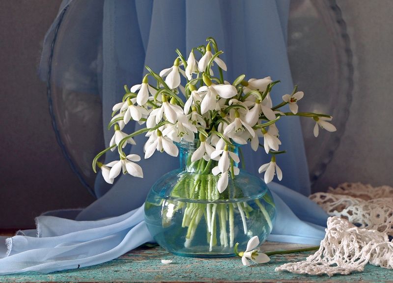 натюрморт, цветы, полевые цветы, весна, марина филатова, подснежники Жемчужные капели фото превью